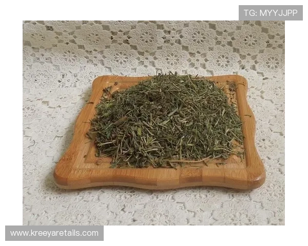 letou乐投移动端支持多设备无缝切换，随时随地畅享精彩游戏体验，尽享便捷的线上娱乐生活